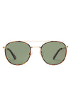 Easton Sunglasses- TORT/GREEN