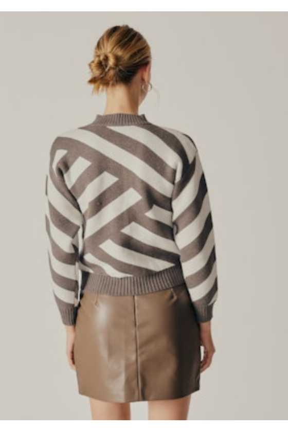 Taxodium Striped Sweater