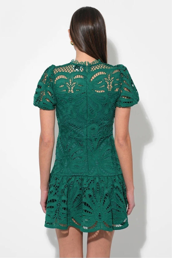 Clarisse A Line Placement Lace Dress
