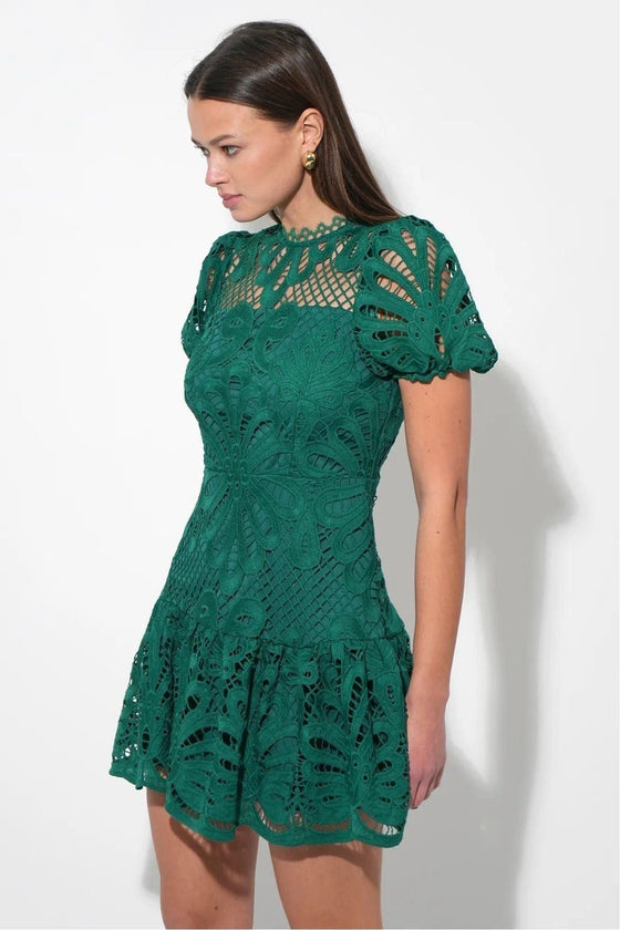 Clarisse A Line Placement Lace Dress